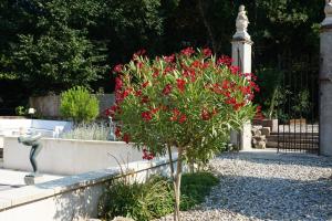 B&B / Chambres d'hotes Le Clos des Troubadours : photos des chambres