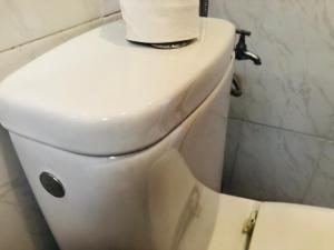 Hostel Dream belko
