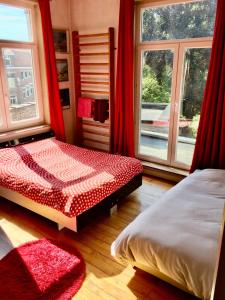 Maison confortable avec piscine privée à Bailleul