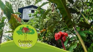 Guayabo Verde - Pacto
