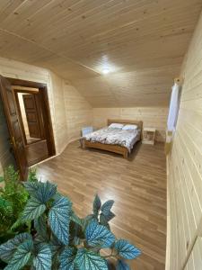 Медові Карпати