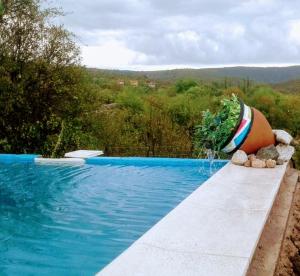 Casita siempre verde