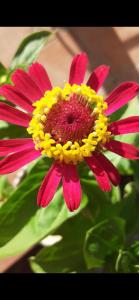 Hostal Restaurante Puerto Blanco