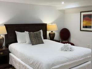 Renovated English Basement 2bdrm Home near METRO