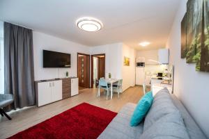 Lovely apartman- free parking