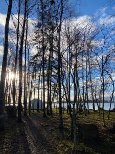 Akmens sala Viesu nams