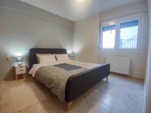 Cozy modern apartment