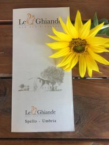 Le Ghiande