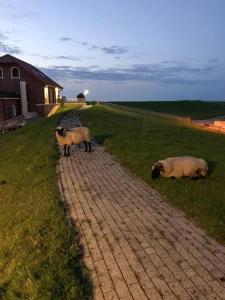 Ferienwohnung Beletage