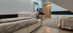 Kalinderu SKIERS APARTAMENT BELLEVUE