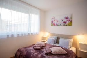 Cute apartman- free parking