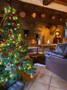 Maisons de vacances Maison de caractere en Aubrac - Lozere : photos des chambres