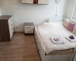 Pauysova's apartament
