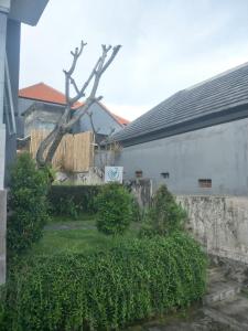 Pigeon House Nusa Dua