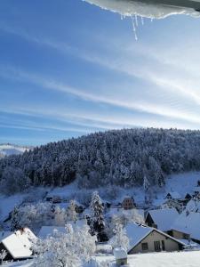 Appartements Les Locations de Stephanie ,Gite Le Verger : photos des chambres