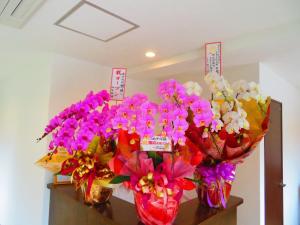 Ao-Ao-Hotel - Vacation STAY 29367v