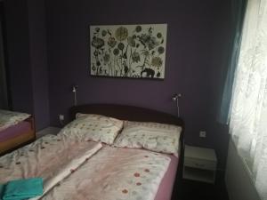 Apartmá Gister ski and wellnes