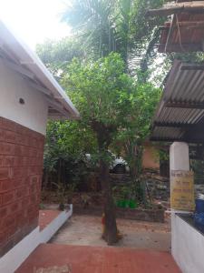 Triskelion - Bed and Breakfast, Family home stay by Joshi Brothers