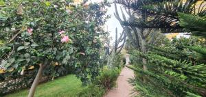 APARTAMENTO Torre Del Mar