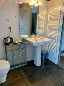 B&B / Chambres d'hotes Le Verger (Le Plessis) : photos des chambres