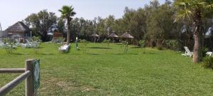 Campings LES PIEDS DANS L'EAU A PALAVAS ! Mer a 50 m ! MHome 6 Pers climatise T confort CAMPING 4 ETOILES : photos des chambres