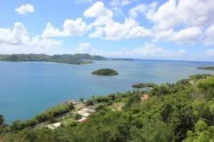 F1 BLUE MARINE - Camée