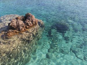 La Casetta del Mirto Paduledda img20