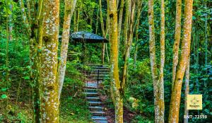 Bosques de la Pradera