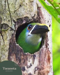 Bosques de la Pradera