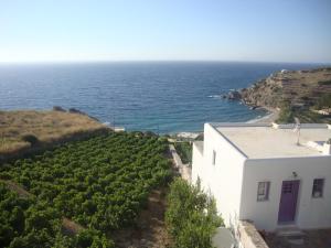 Villa Athina Naxos Greece