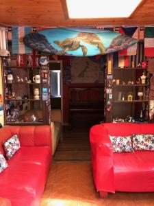 Kuyen Hostel & Tiny Houses