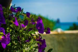 Agathi Beach House (Black Rocks) Corfu Greece