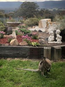 Hartley Valley Views