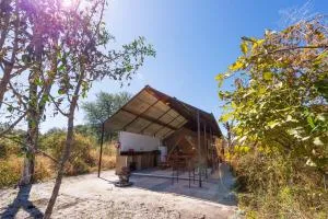 Namushasha River Camping2Go - Luzibalule