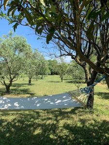 MAS EN DRÔME PROVENÇALE