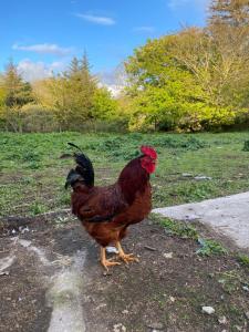 Harbour View Cottage