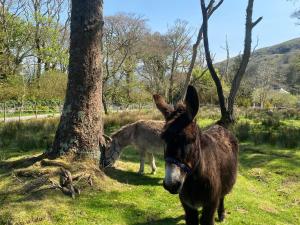 Harbour View Cottage