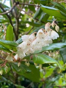 Harbour View Cottage