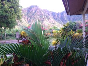 Gunung Mas Pemuteran