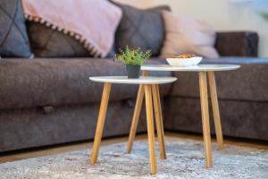 Apartment Stefan in Vila Katalina Lux