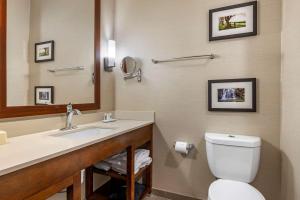 Queen Room with Two Queen Beds - Non-Smoking room in Comfort Suites Columbus Airport