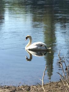 Maisons de vacances A Beautiful 3 Bedroom Gem on the Banks of the River Dordogne : photos des chambres