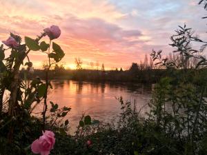 Maisons de vacances A Beautiful 3 Bedroom Gem on the Banks of the River Dordogne : photos des chambres