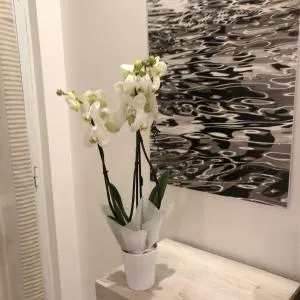 La Casa di Gio Golf Tennis e parcheggio privato - Santʼ Anna