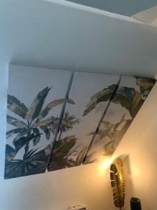 Appartements Escale Tropicale a Blois : photos des chambres