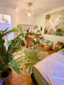 Appartements Escale Tropicale a Blois : photos des chambres