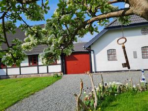 B&B Bauernhofferien auf Møn