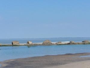 Bel appart T3 ,100 m de l’océan , centre ville