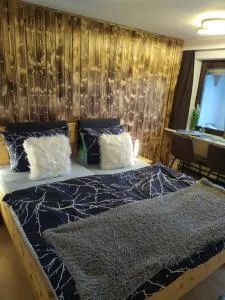 Mailin`s Apartment inkl Oberstaufen Plus Card - Schindelberg