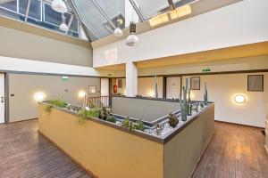 Apartments Rijeka IN